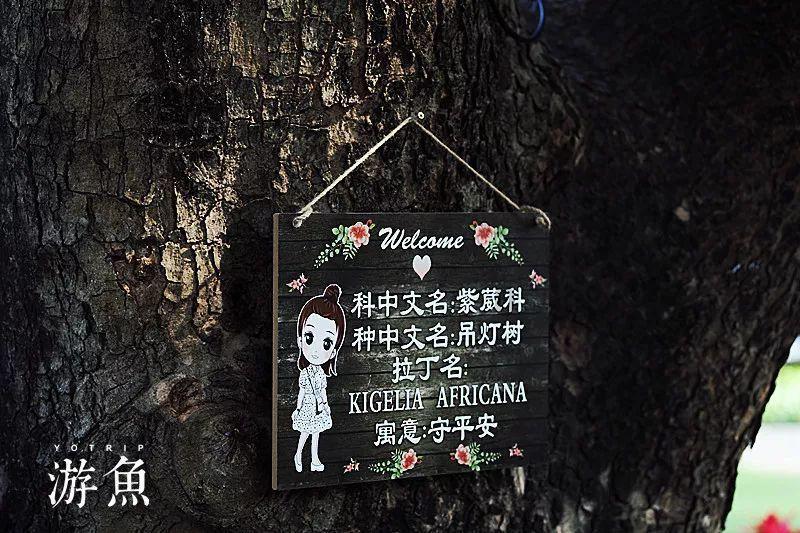 住房公积金政策小百科(第二十九期)