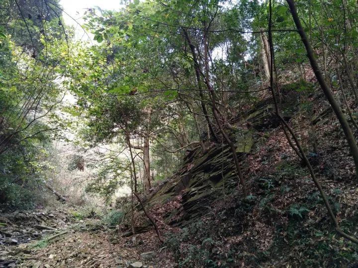 青海省黄南藏族自治州发布森林(草原)火险黄色预警