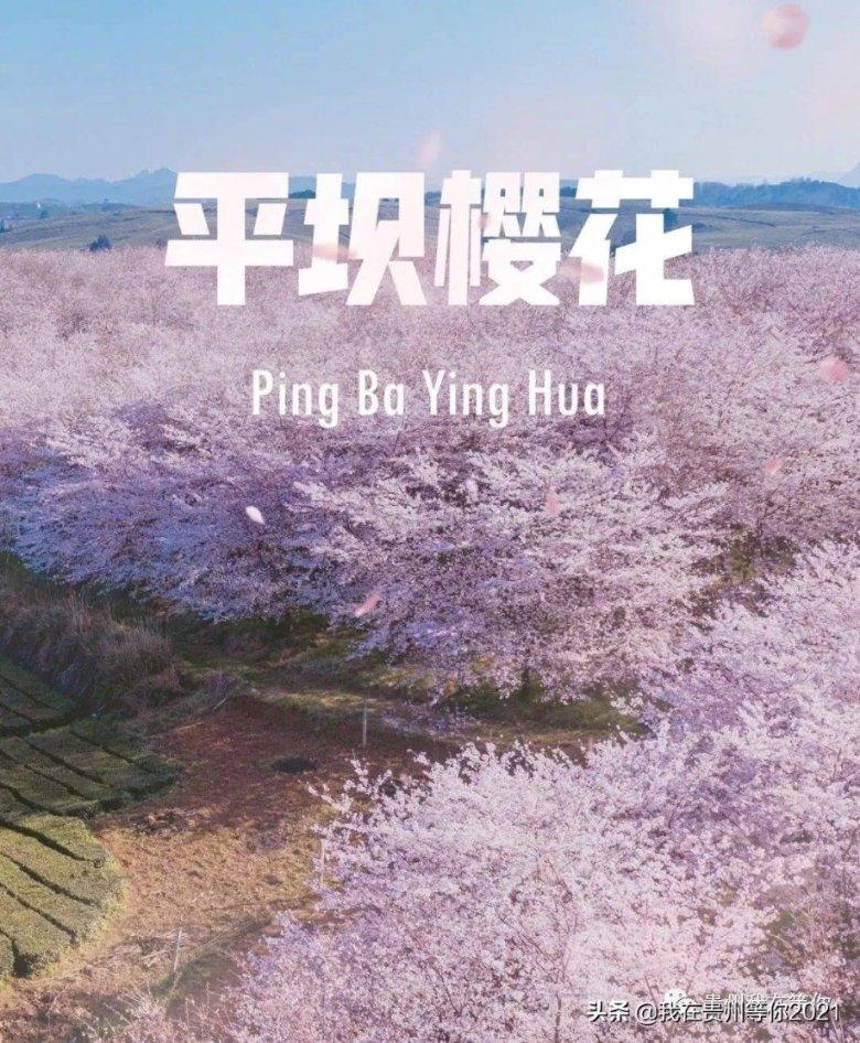 滑动蓝色方块