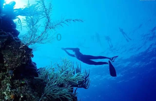 浪漫衣裙