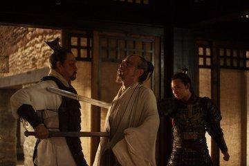漂亮鹦鹉救援