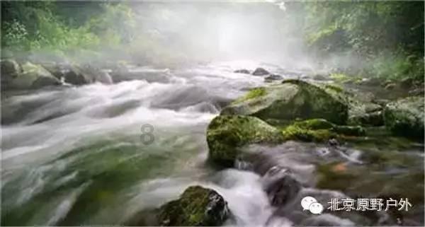 狂野飙客3