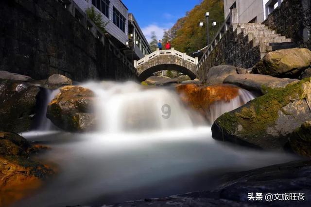 救援选美皇后