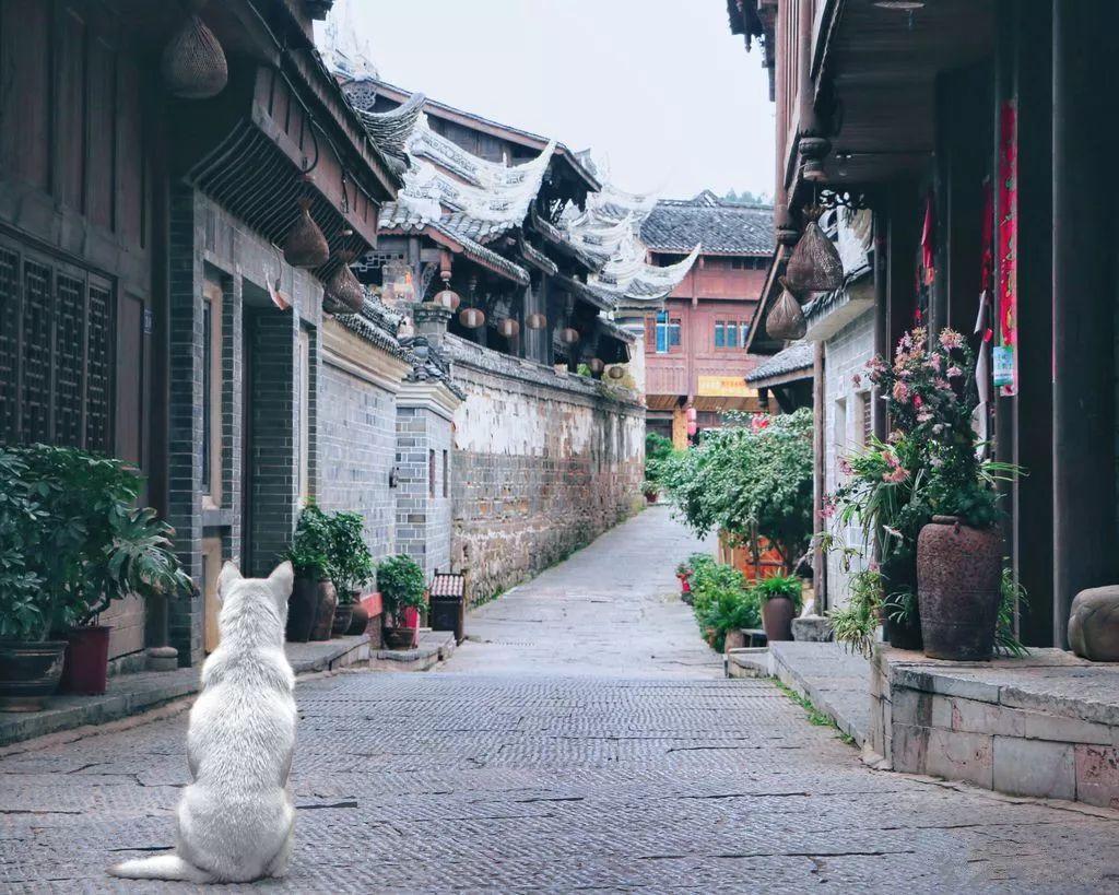 铁甲战神